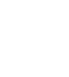 icon our goal